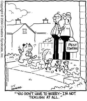 heathcliff